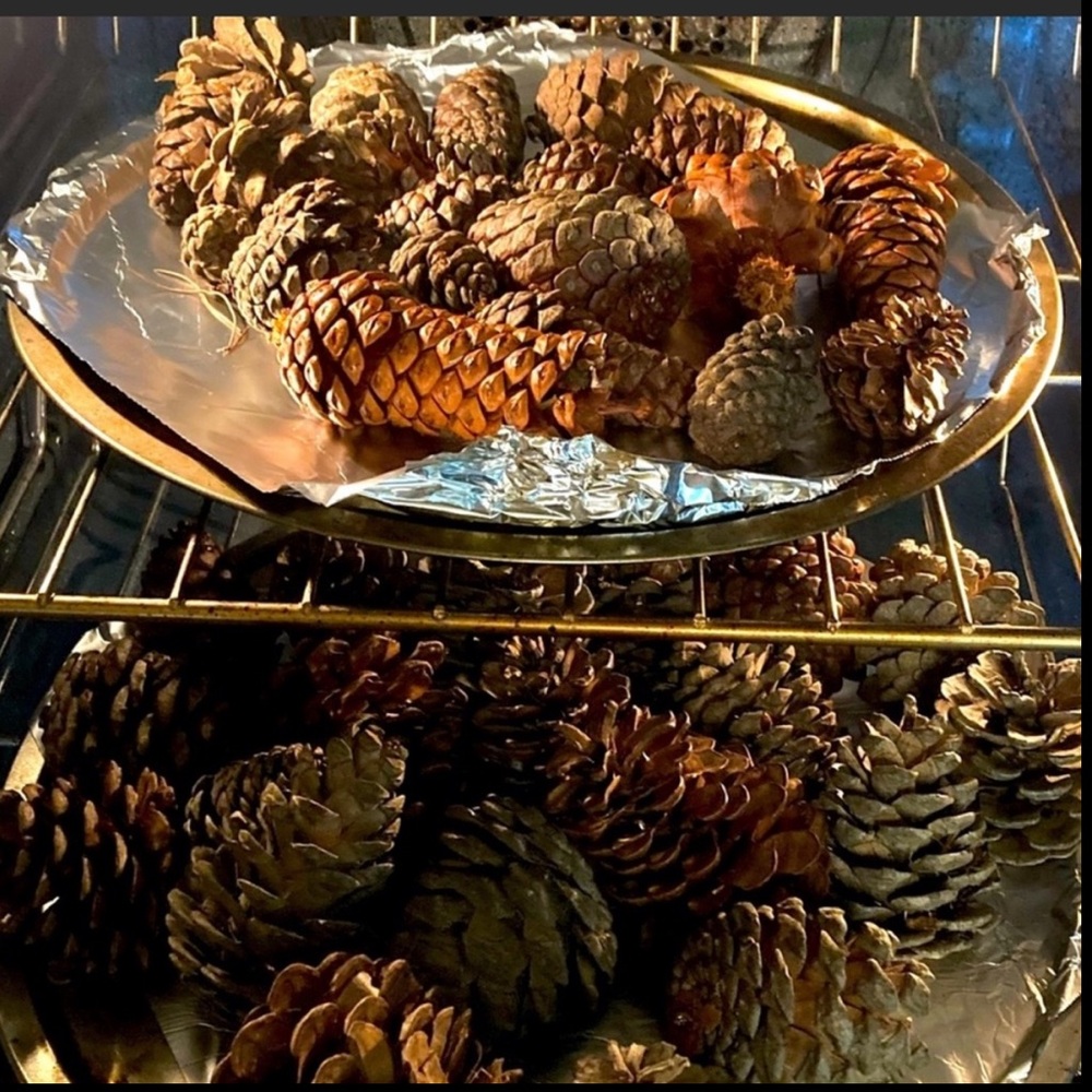 Cinnamon Apple Scented Pinecones From My Farm Organic - Picture 5 of 10